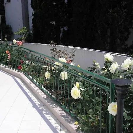 Pino Apartment